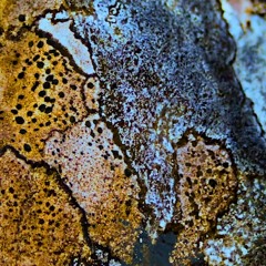 Sonica Talk: Art & Environment