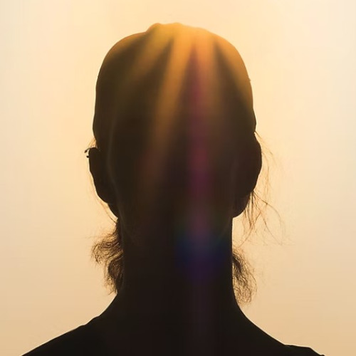 Discovering Deep Renewal Through Our Psalms Bible Study Guide for Modern Believers