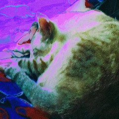 linda tarde de vento