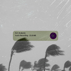 FLY (ft.BLIX)