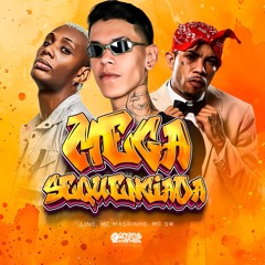 MEGA SEQUÊNCIADA  - @djlinoofc