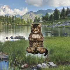 red flag (prod. Rudy Neal)