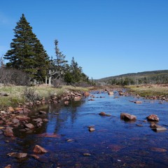 Belle Rivière - Compo