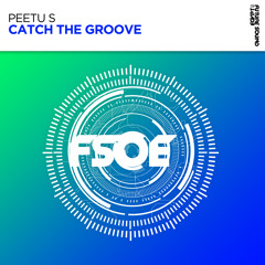 Peetu S - Catch The Groove