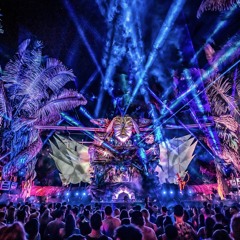 EDM LIVE SETS 2024 & NYE