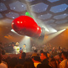 100% Keinemusik Pacha Ibiza 2025 - Babou x Bobo V DJ mix artwork - Electronic music tracklist cover image