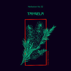 Herbarium No 032 - Tangela - Melaleuca Alternifolia