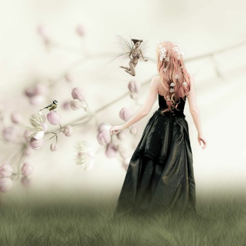Dreamland