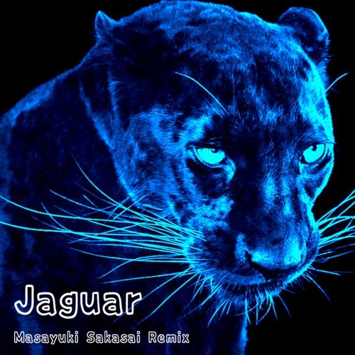 (FreeDL)DJ Rolando - Knight of the Jaguar(Chillzenni Remix)
