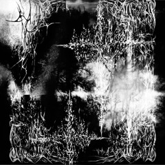 Untitled Type shi