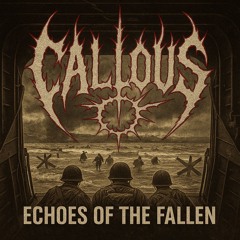 Echoes Of The Fallen