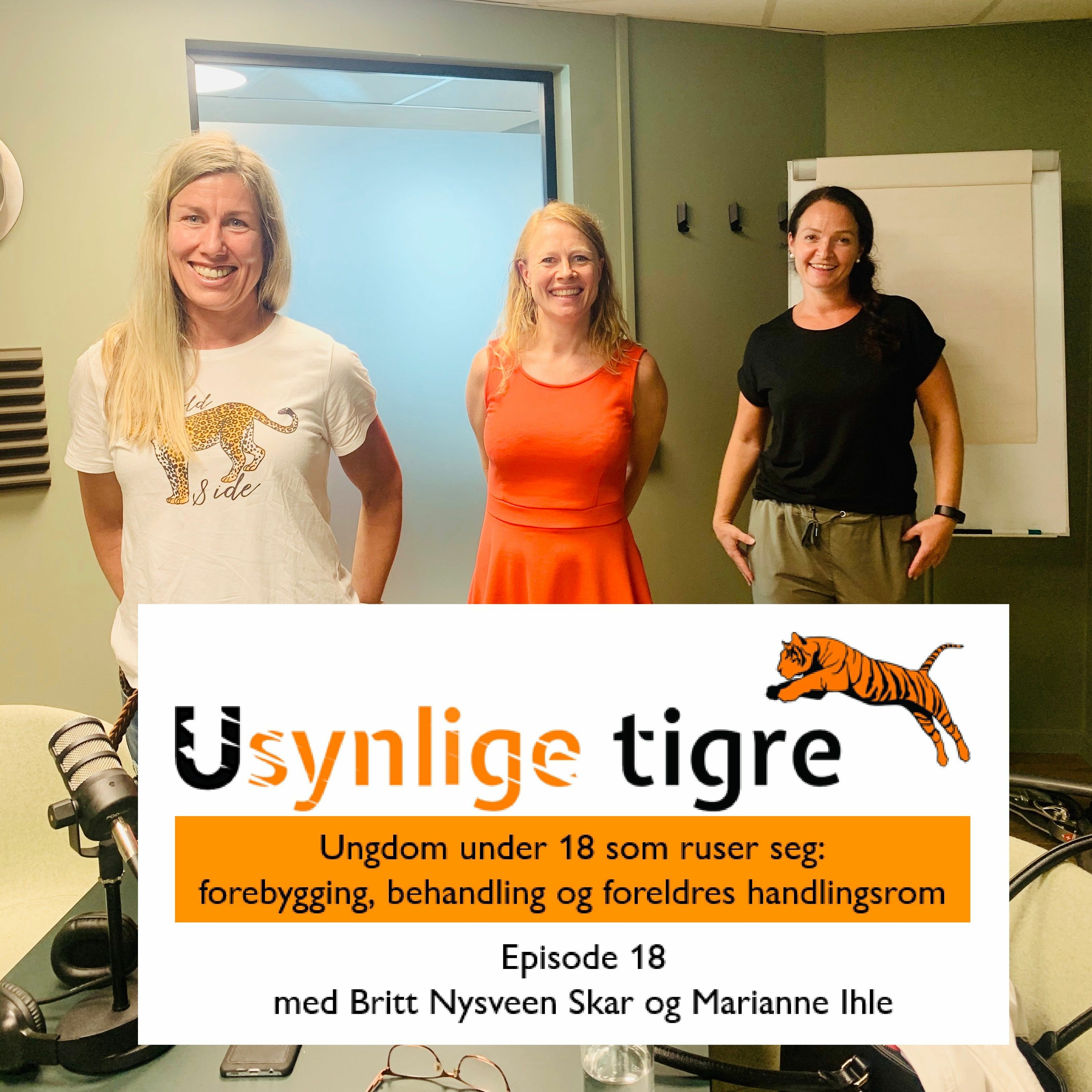 Usynlige tigre-podden