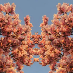 And To Those I Love x Ain't Tellin Ledger Mix