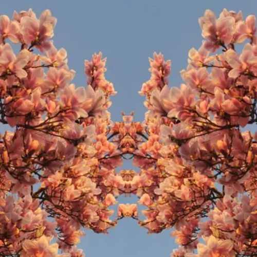 And To Those I Love x Ain't Tellin Ledger Mix