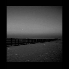 Transmigration