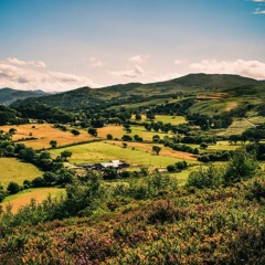A Country Scene