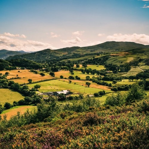 A Country Scene