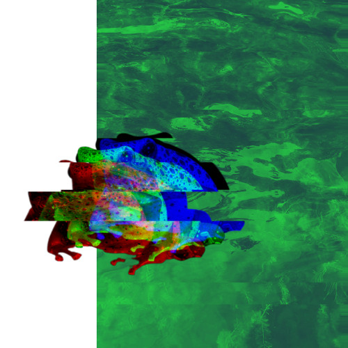 Cyber Swamp Oscillations