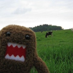 domo (p. tylo)