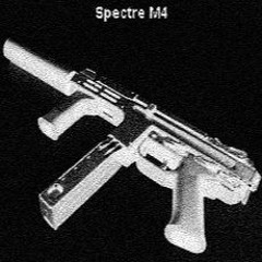 Spectre/M4