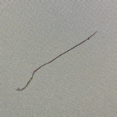 diklordefenil - Deafened By Noise Vol. 1 [mix]