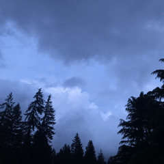 Melody (demo version)