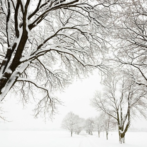 Winter Song