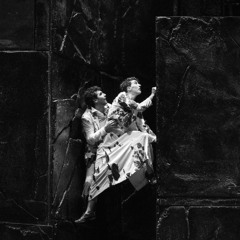 Audioeinführung: Falaise