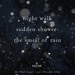 night walk [naviarhaiku452]