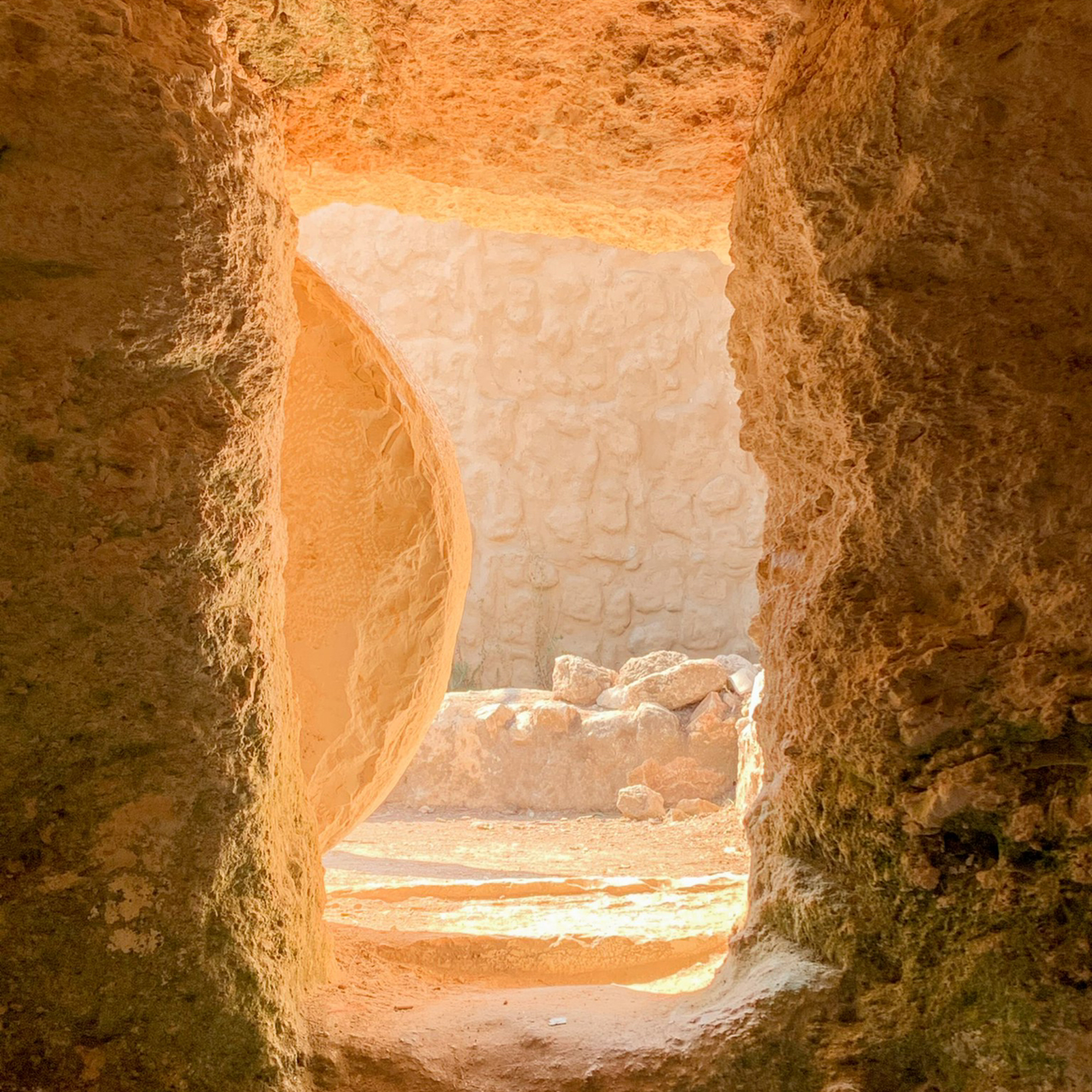 Homily 4-09-23: WHAT DO TOU WANT FOR EASTER episode artwork