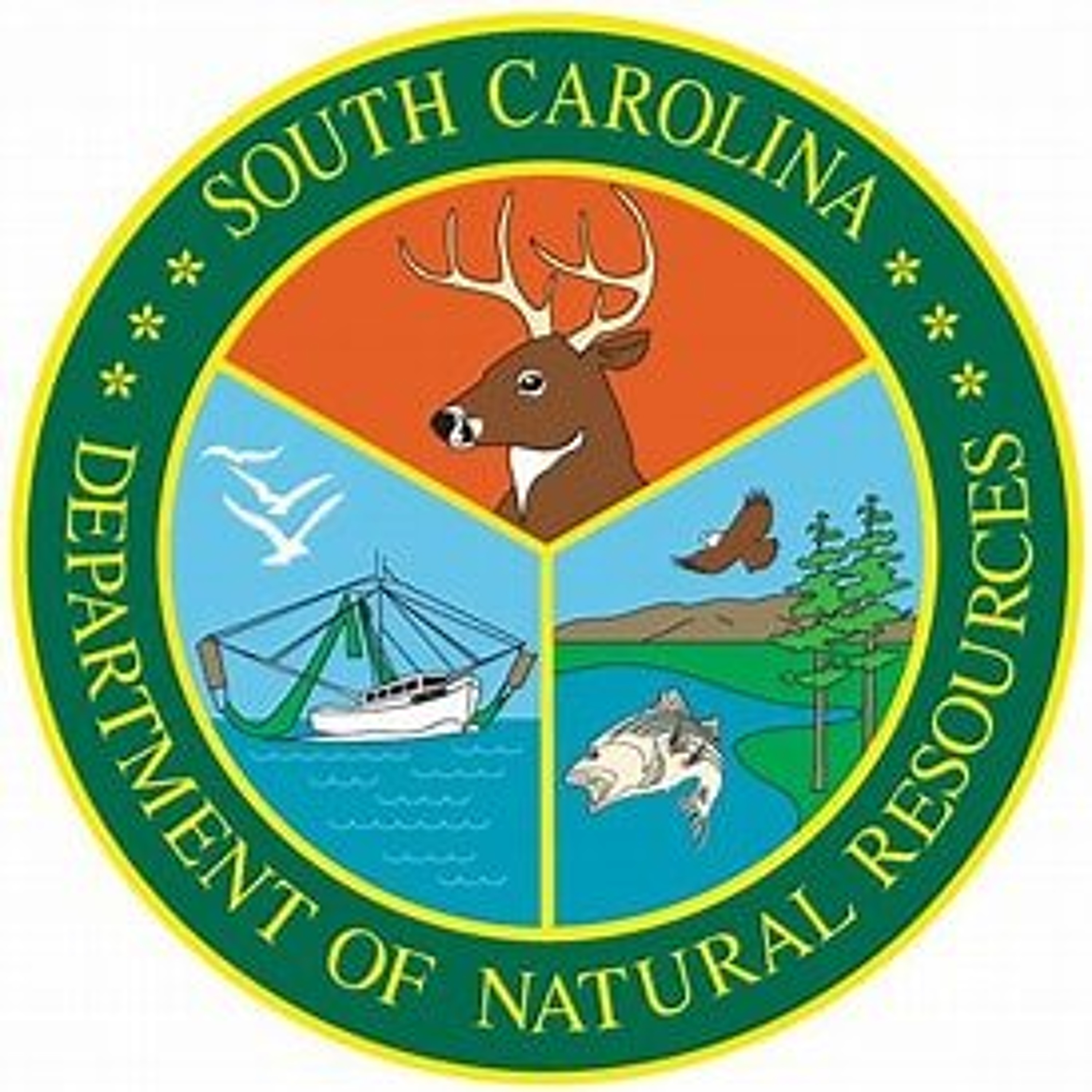 SC Wild 07 - 15 episode artwork