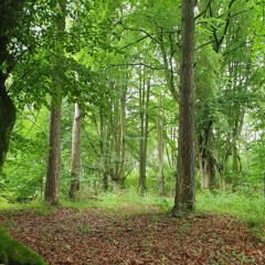 MeToX_Step_hanLehmann