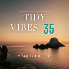 Tidy Vibes vol. 35