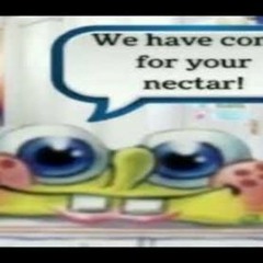We Have Come For Your Nectar!