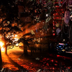 Deep Woods #56 | Organic Progressive House (TEELCO, Gai Barone, Paul Arcane, Fahlberg, Matter, GMJ)