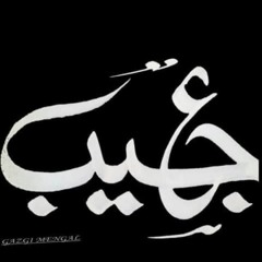 Waseem Alim Song By Ajeeeeb Group (3)