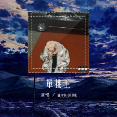 盛宇D-SHINE - 单挑王「哥们嚼着一口槟榔搭配杯北冰洋」【動態歌詞/Lyrics Video】#盛宇DSHINE #单挑王 #動態歌詞