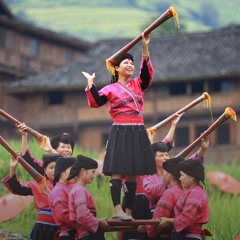 FAO Brief - 19 May 2023