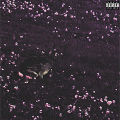 Spaceship Elevator Music (prod. Dev x Dreamz x ManosRevenge)