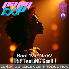 SouLMeNoW - TRiP'FeeLiNG GooD !