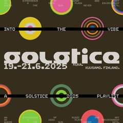 Into The Vibe — Solstice 2025 Playlist