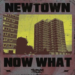 NEWTOWN - NOW WHAT [FREE DL]
