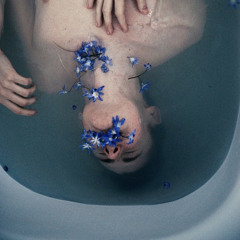 ما في ورد بيطلب مي ,