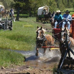 Review Special Price Old West Wagon Train Experience!