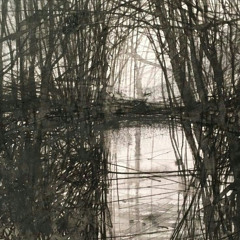 why are you doing this to me