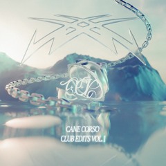 Drake & SZA - Slime You Out (Beavs Edit) ‣ Free Download