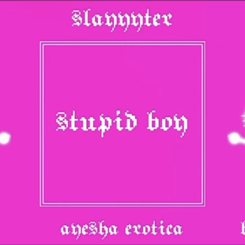 Stream Slayyyter-Stupid Boy(ft.Ashnikko, Ayesha Erotica & Big Freedia).mp3  by Editz._.Kyla | Listen online for free on SoundCloud