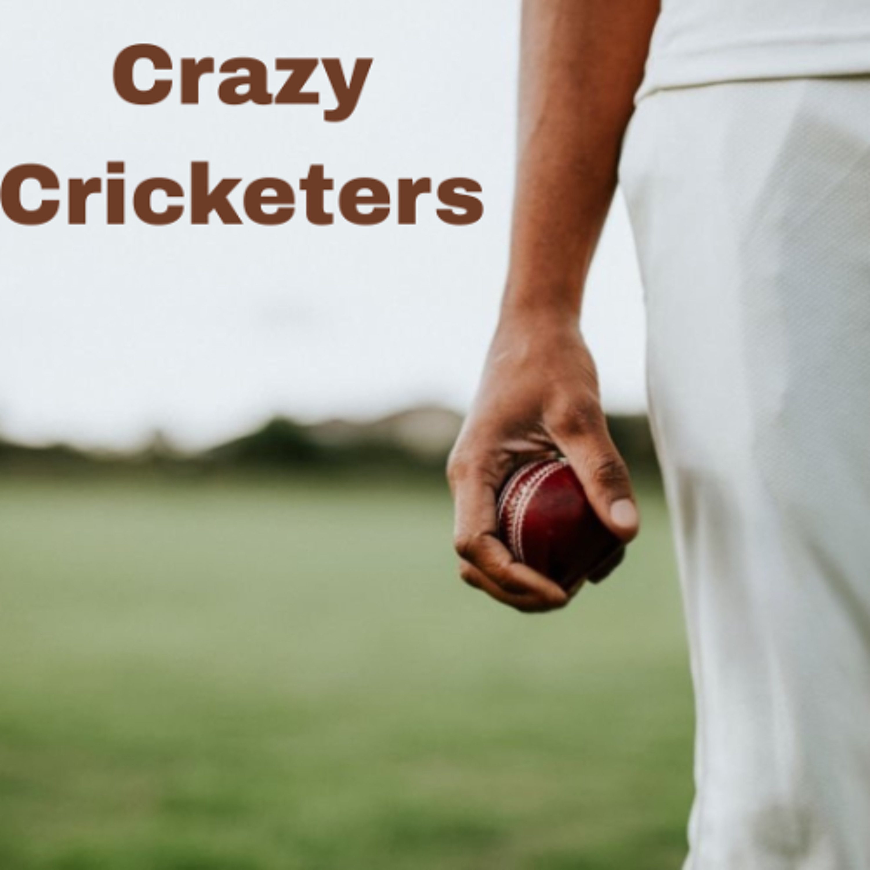 Crazy Cricketers - Patrick, Benji, Aiden, and Mitchell - St Michael's College