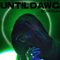 Haudope - UNTILDAWG (prod.by millihao)