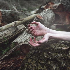 ‎⁨سرگشته(عرفان طهماسبی)